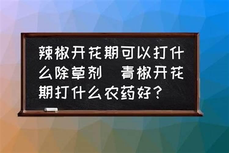 青椒用什么肥料最好