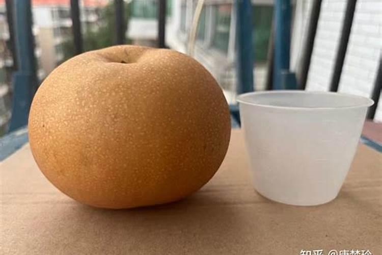 秋月梨什么时间施肥好 如何合理施肥好