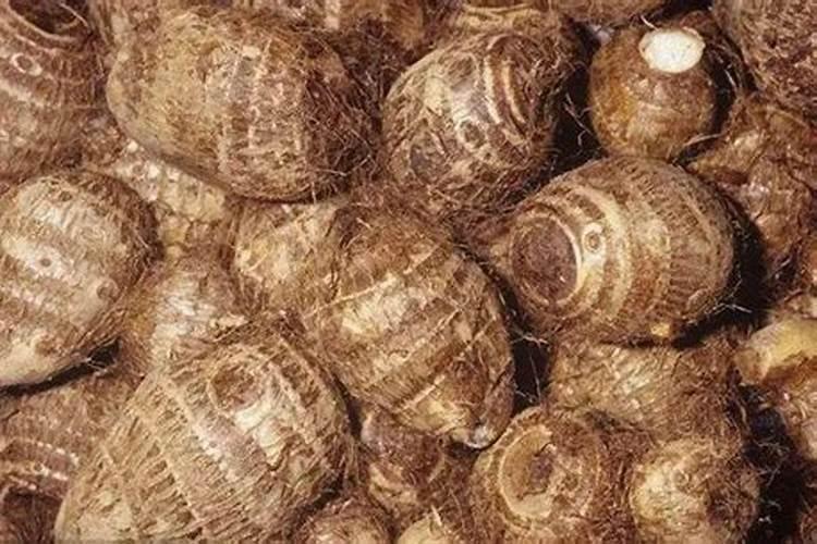 请问芋头要用什么肥料才大个？