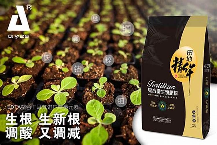 草莓底肥用什么肥料好