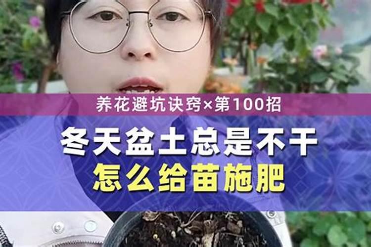 绿萝用什么肥料？