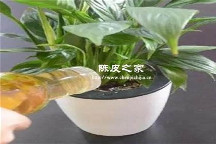 家庭自制磷钾肥有哪些 家庭自制磷钾肥原材料有哪些