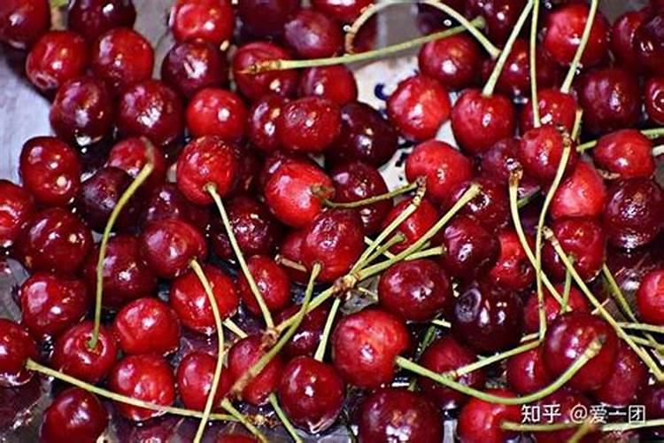 大樱桃果实采收前裂果是怎么回事？怎样防治？