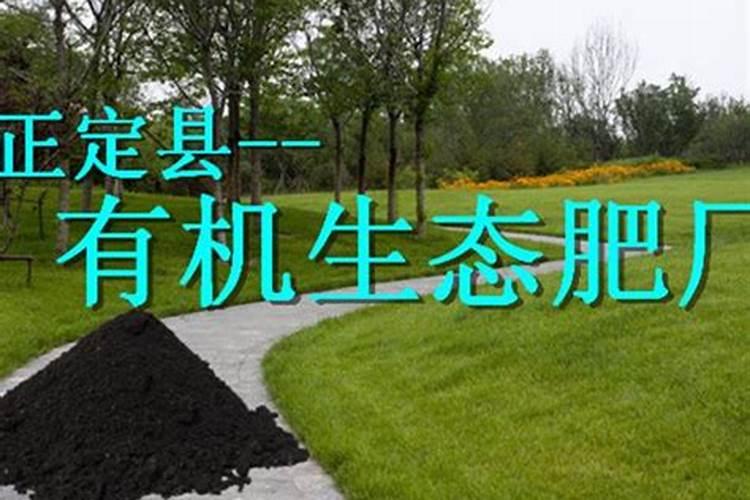 草坪施肥用什么肥料 草皮什么时候合适施肥