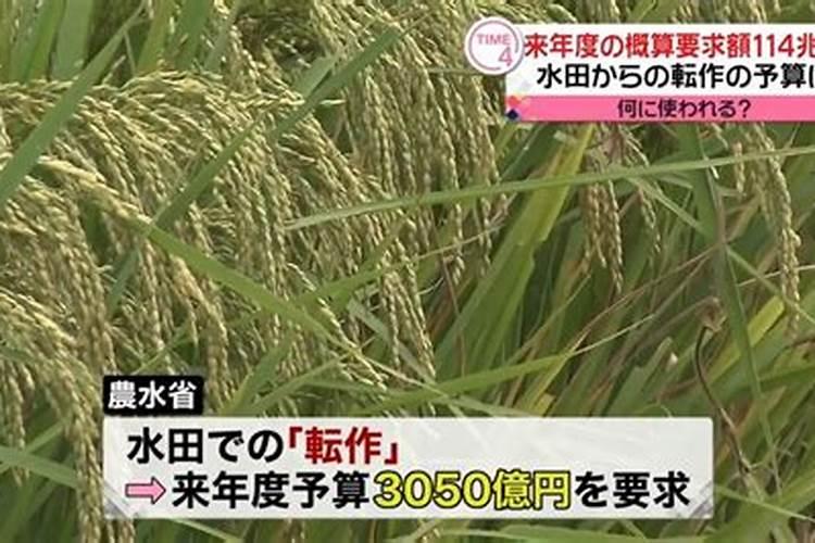 磷肥施用的方式不恰当,会造成什么后果？
