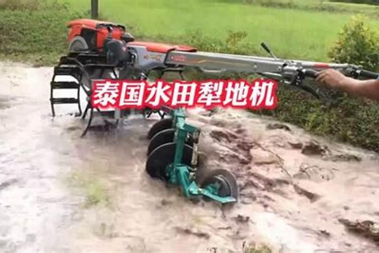 如何正确施用磷肥？