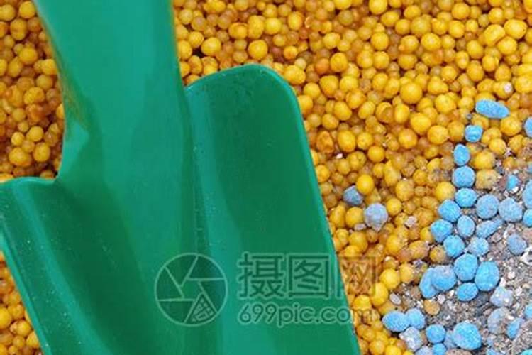 现在养花的人 都爱用营养液 好么？有没有其他的东西可以代替？