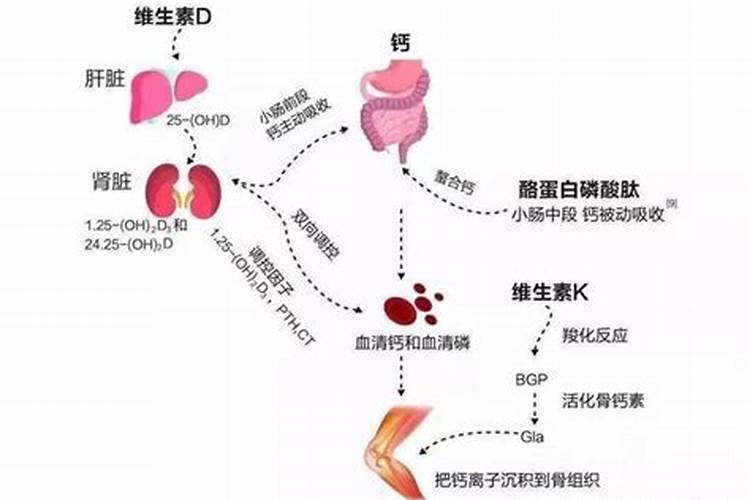 果树在果实膨大期施入钾肥过量有危害吗？