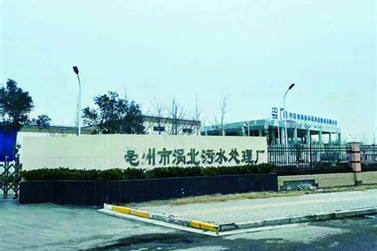 腐植酸水溶肥有哪些优点