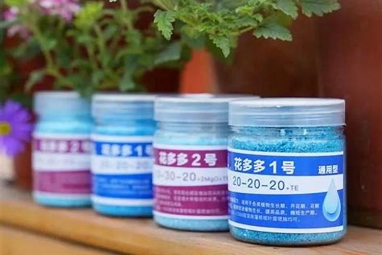 蝴蝶兰开花喂什么肥 怎么施肥