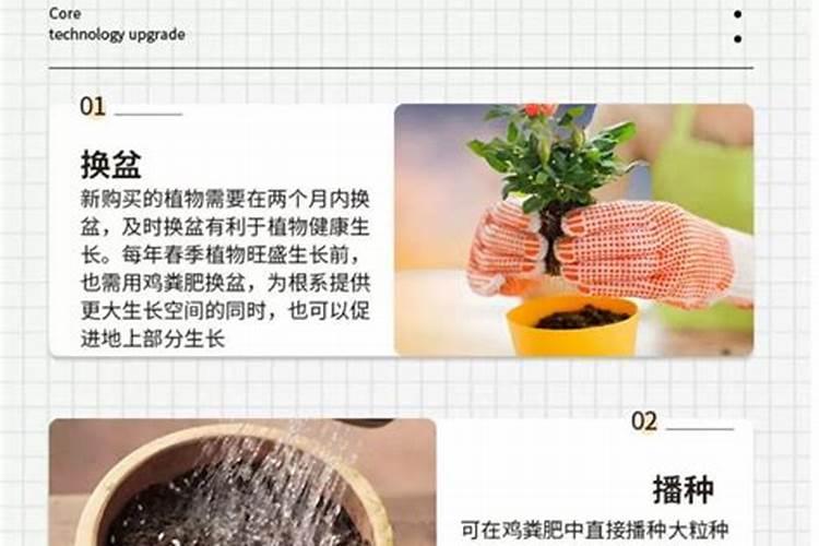 买回来用来种菜的化肥,请问种花可以用吗