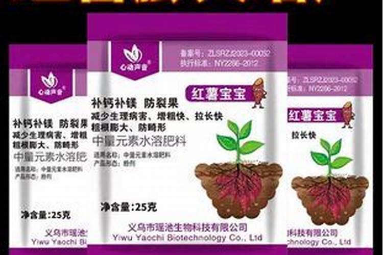 种地瓜用什么肥料最好