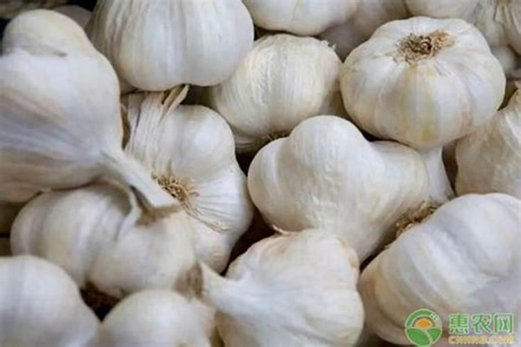 大蒜用什么复合肥好