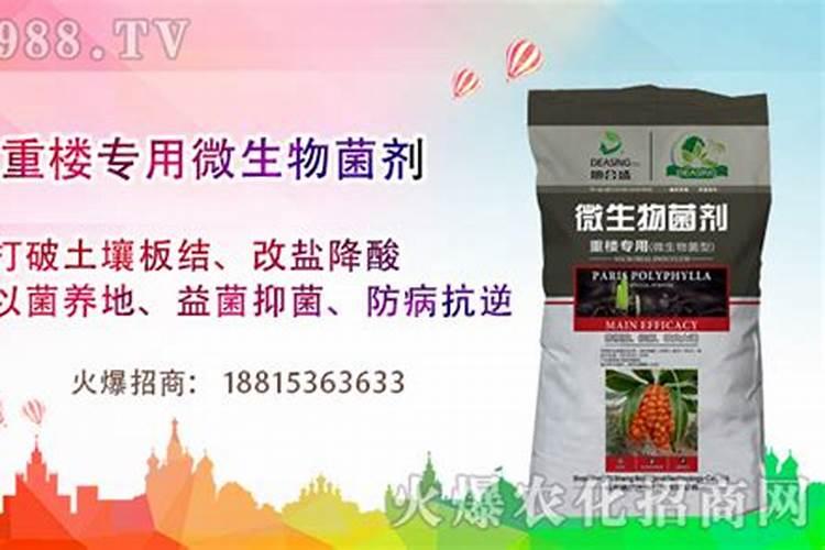 中草药的种植