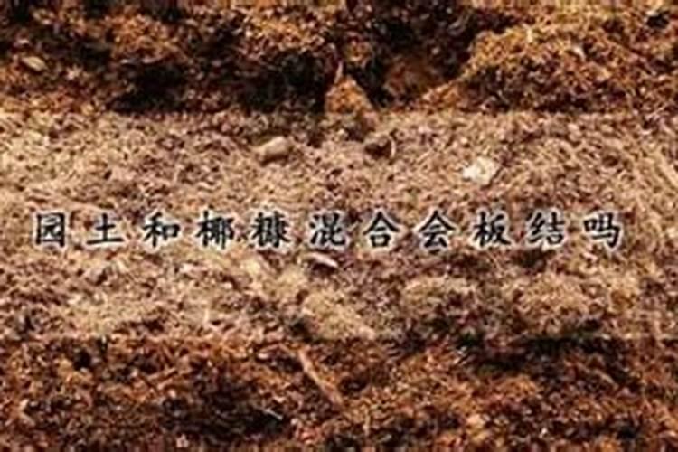 米糠可以做营养土种花吗？