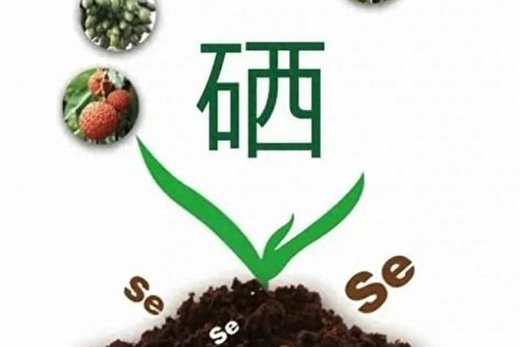 硅钙镁元素肥对土壤有什么好处？