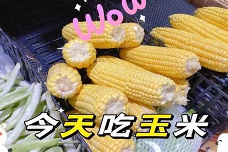 组成玉米的基本元素是什么