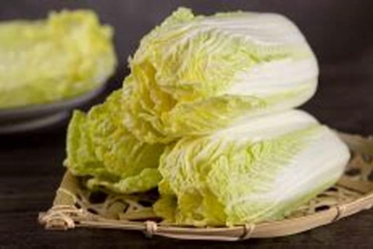 娃娃菜后期怎么施肥？