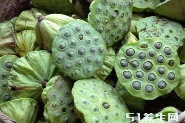 莲蓬施肥用氯化钾还是硫酸钾？