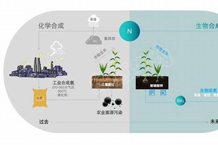 含氮量最高的氮肥是什么