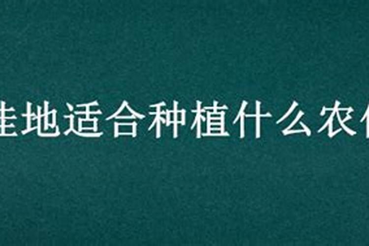小麦想要高产需要注意哪些？用哪些肥料增产效果比较好