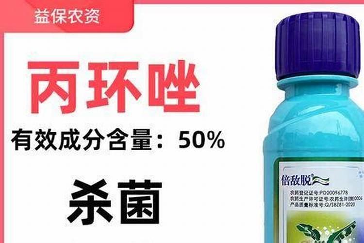 家里的绿植花草什么时候施氮肥,磷肥,钾肥,一次性说