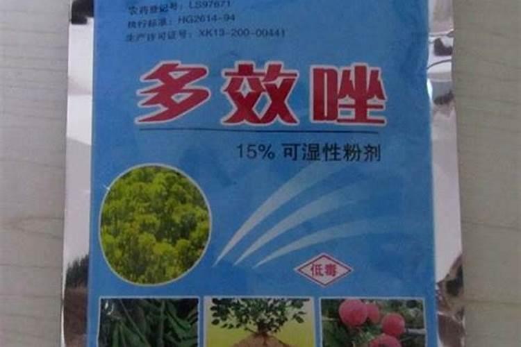 龙眼花期怎么管理 如何管理龙眼花期