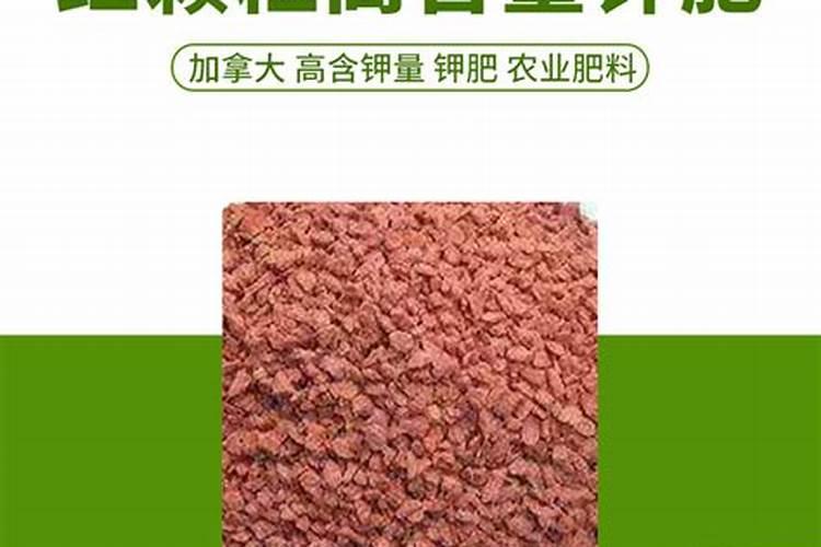 为什么还要进口钾肥