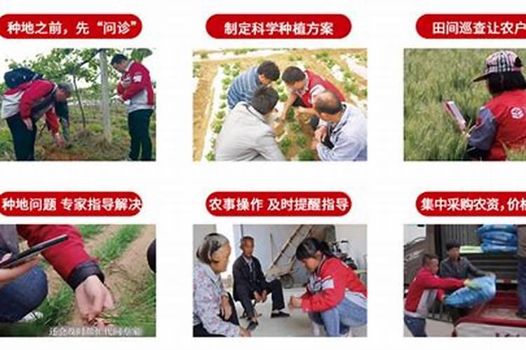 最有前景的10个农村创业点子 在农村创业什么最赚钱