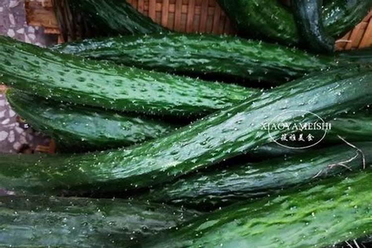 黄瓜追肥用什么肥料好