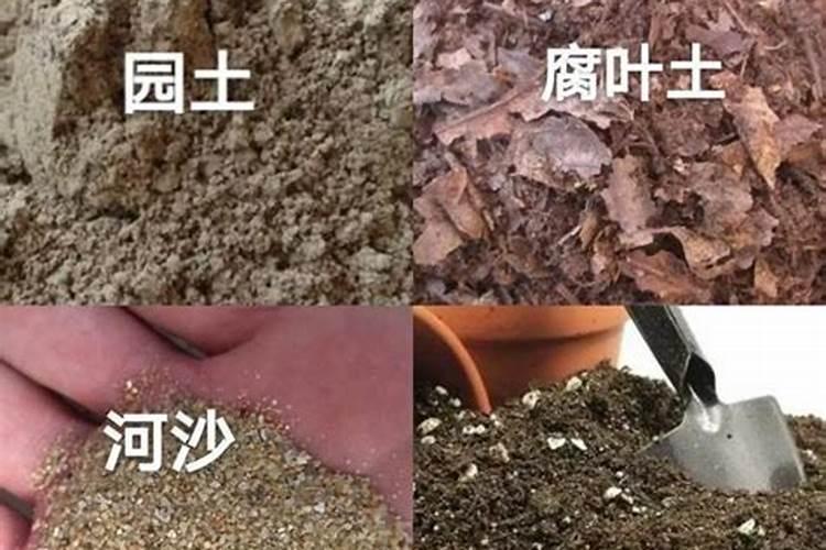 平菇反季节的种植技术