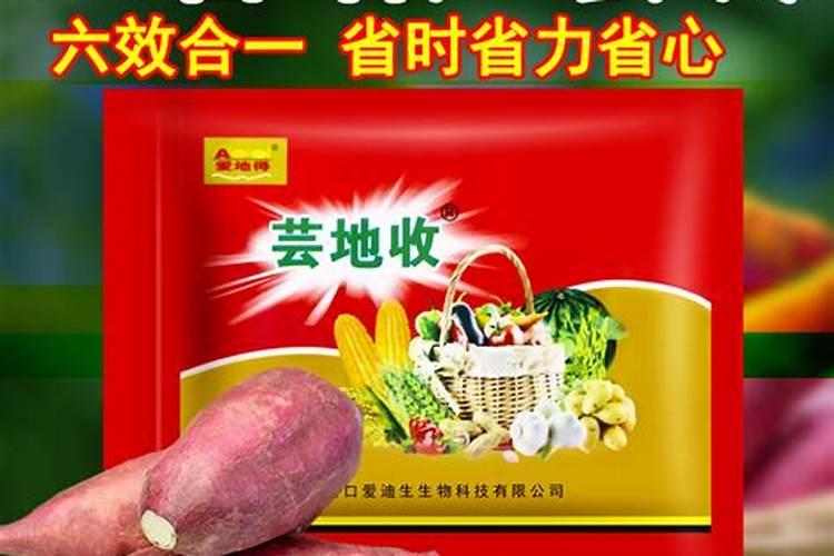 红薯后期如何施肥