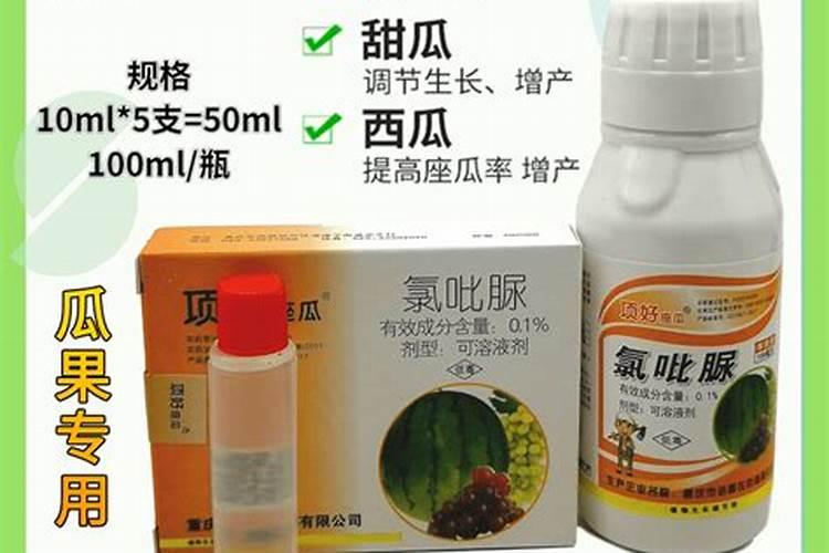 刚移栽的植物要马上浇水吗 注意事项有哪些