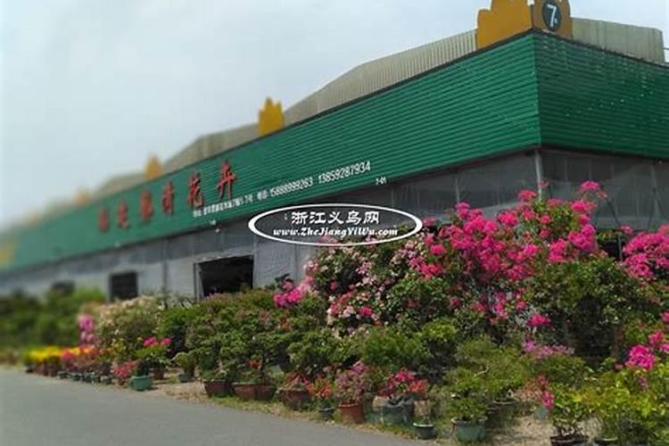 水溶肥十大名牌