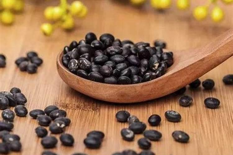 黑豆能做花肥吗 黑豆可以当肥料养花吗