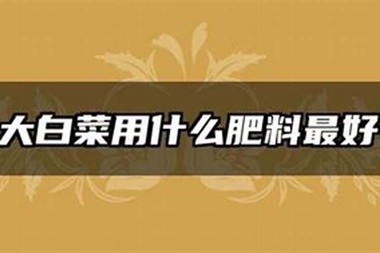 大白菜用什么肥料最好