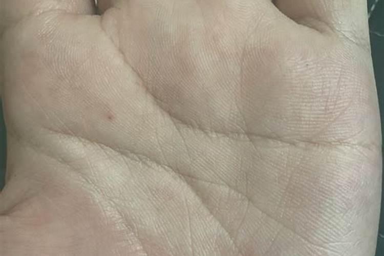 烤烟病虫害防治技术与方法措施