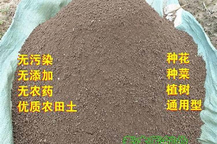 芹菜施肥要合理,根据什么确定肥料？