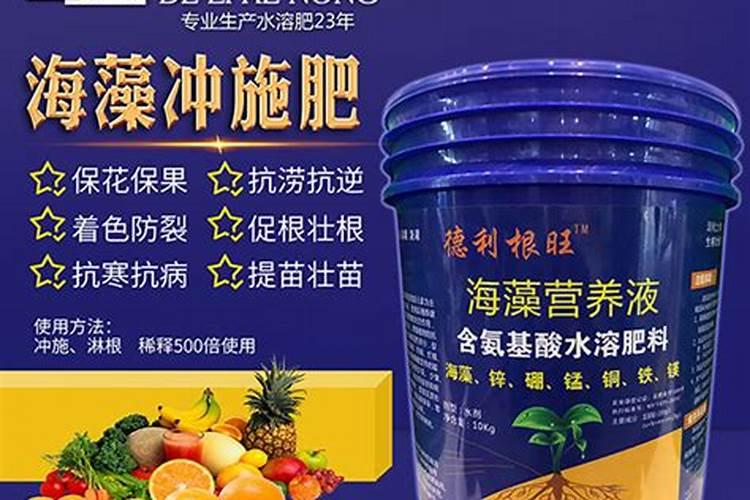 大棚西红柿怎么浇水和冲肥法