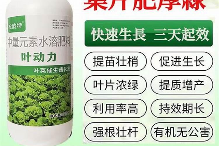 芦荟用什么肥料长得快