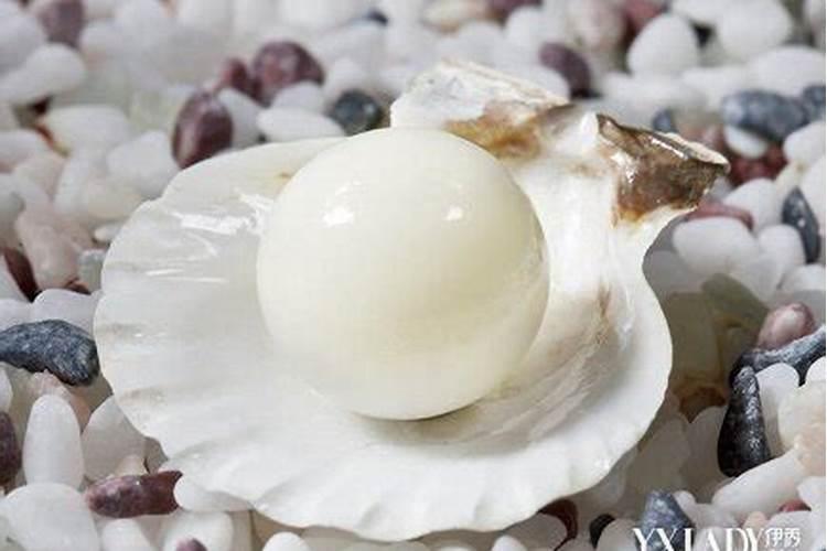 磨豆浆留下的豆渣可以做什么