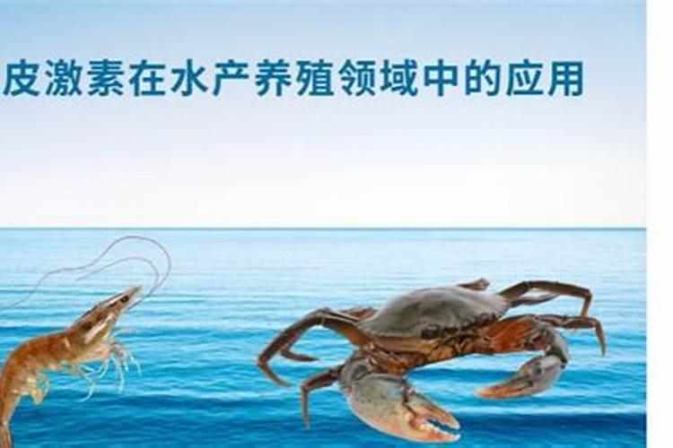 农村适合种植或者养殖什么
