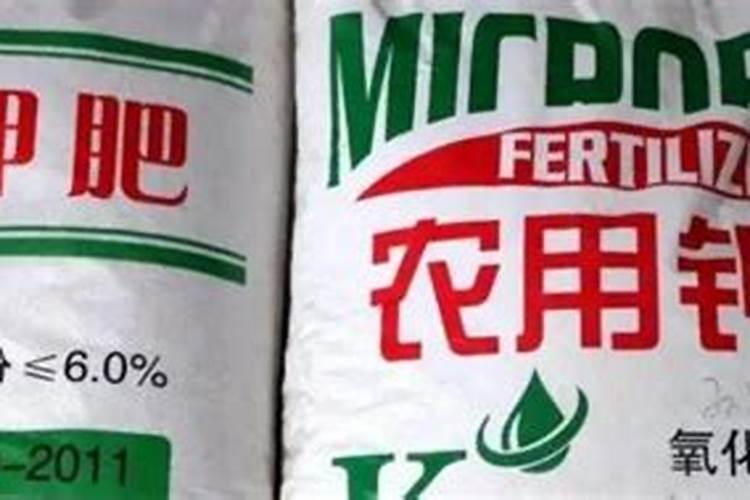 防治苹果腐烂病的方法措施