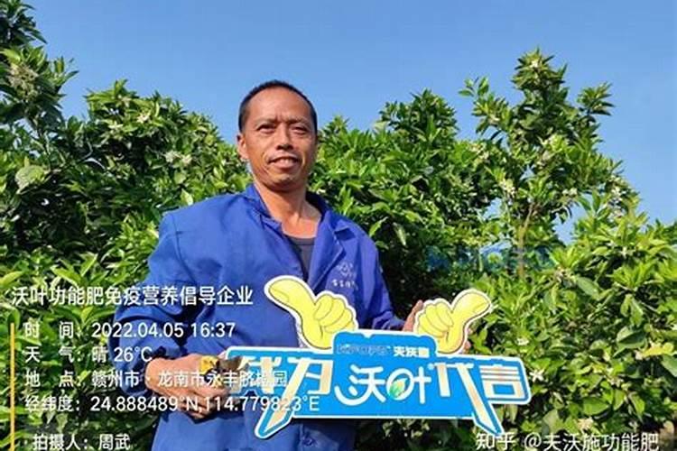 樱桃坐果的时候用什么肥料好