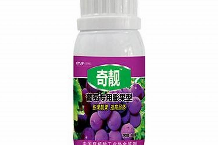 葡萄膨大期施肥诀窍 注意事项有哪些