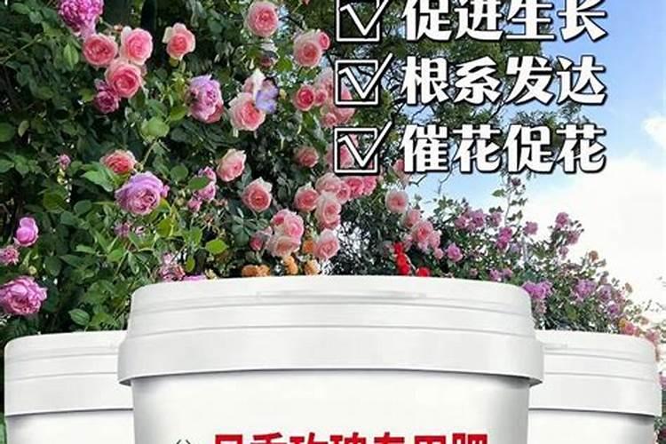 中药材促花保果根茎块膨大素？中药材施什么肥料有助长根？