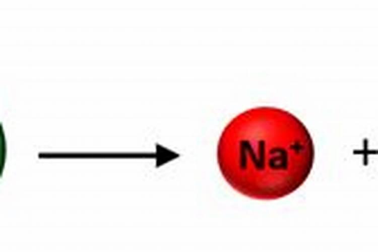 Na和Cl是生物体必需元素吗 是大量元素还是微量元素
