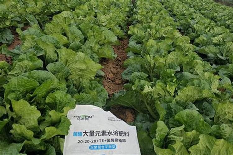 生物有机硒28号稀释肥使用说明？