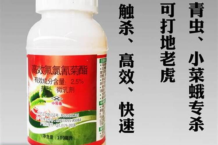 苦瓜这是什么病？需怎么药处理？