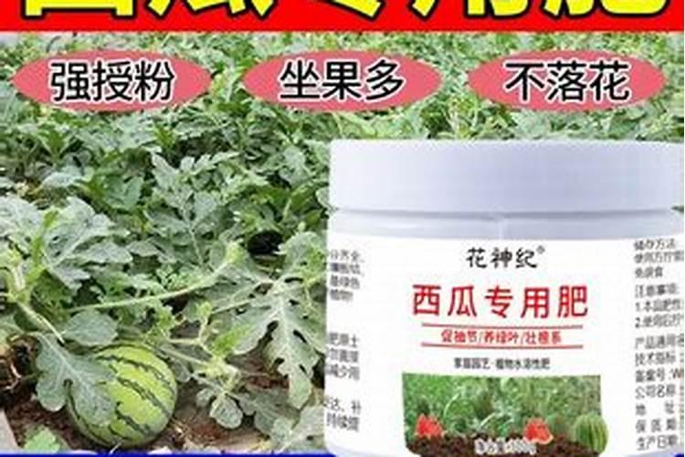 西瓜用什么肥料好